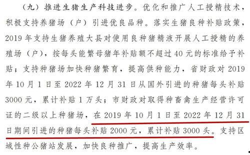 猪瘟最新爆料消息新闻,揭秘病毒传播途径与防控措施  第2张
