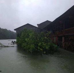 网友爆料山洪视频播放,视频记录大自然无情威力  第2张