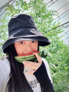 网红吃瓜大集合集,揭秘娱乐圈幕后风云  第2张