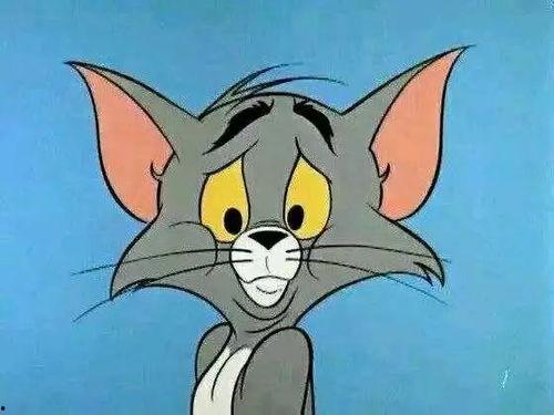 新猫新鼠爆料视频大全下载,揭秘幕后精彩瞬间