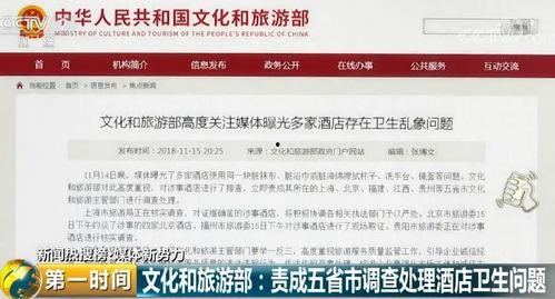 菏泽饭店爆料视频大全集,揭秘幕后真相与精彩瞬间  第3张