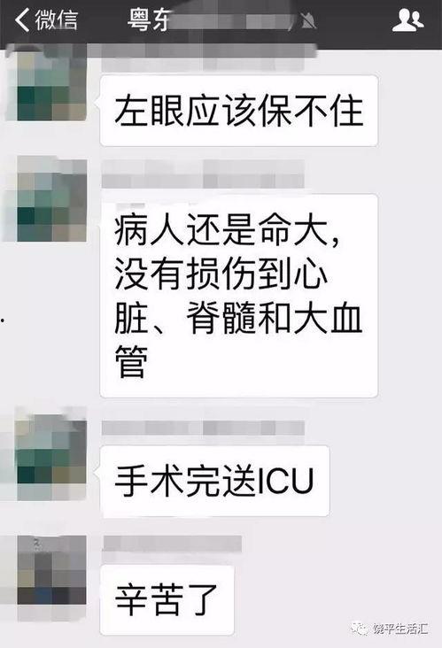 饶平最新爆料事件视频播放,视频揭露惊人真相，事件引发社会关注  第3张