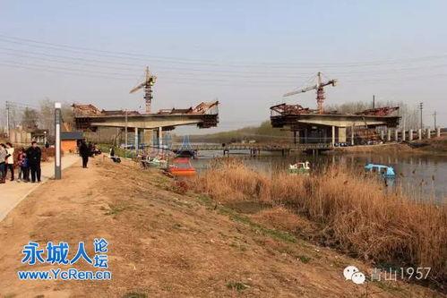 河南永城大爆料最新消息,揭秘当地最新热点事件！  第3张